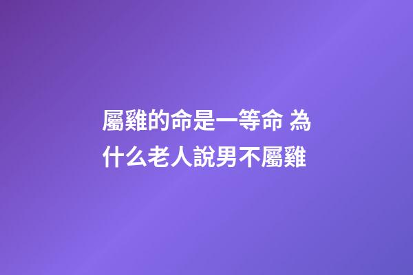 屬雞的命是一等命 為什么老人說男不屬雞